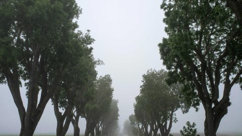 Книгарня «Сторінка»