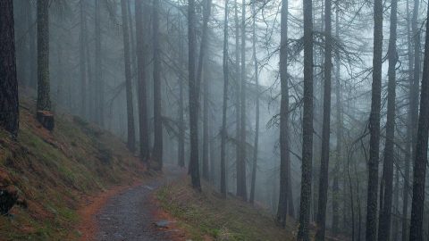 Черкаси: афіша культурних подій тижня